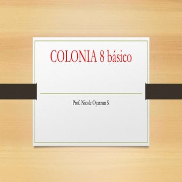 Colonia 8 basico