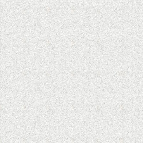 Colonization of America