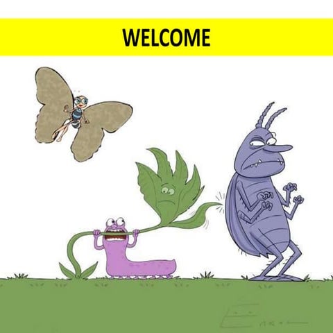 Colonization of natural enemies