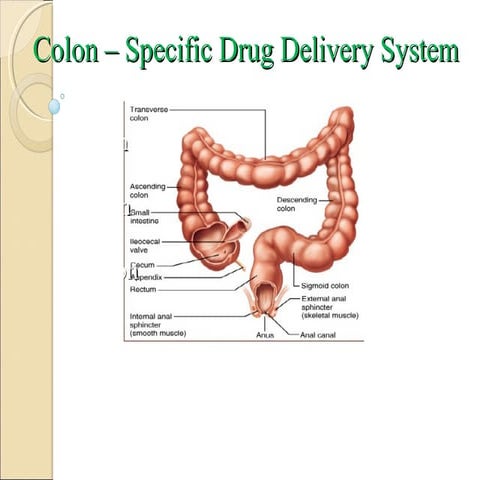 Colon specific drug delivery | PPT
