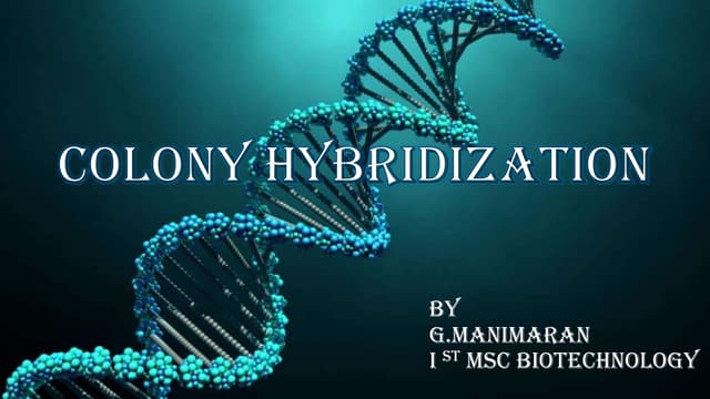 Colony hybridisation 