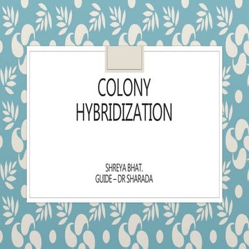 Colony hybridization technique 