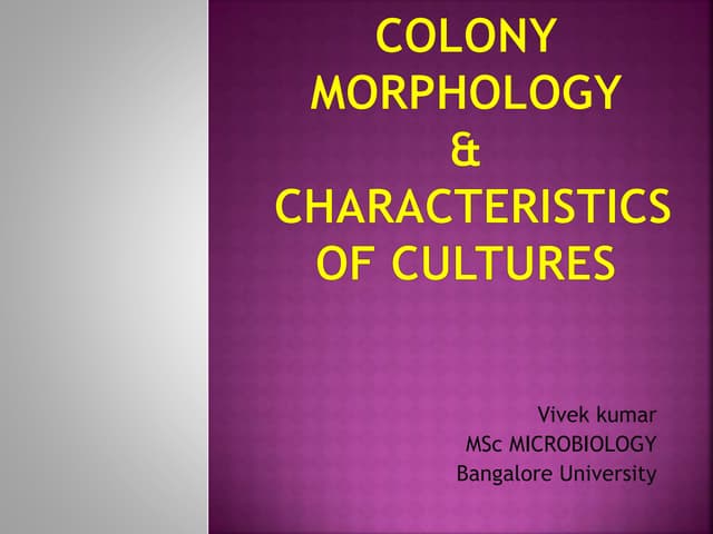 Colony Morphology & Characteristics of Cultures