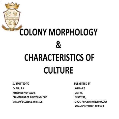 Colony Morphology and Characteristics of Culture