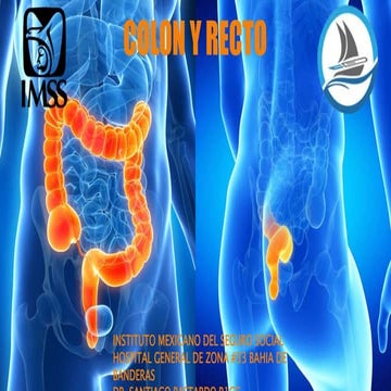 Anatomia de Colon y Recto, enfoque quirurgico cirugia | PPTX