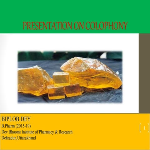 Pharmacognosy of Colophony 