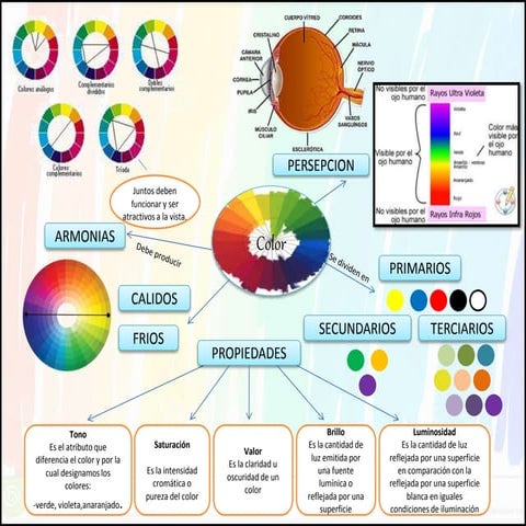 Teoria y percepción del color