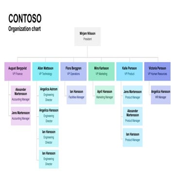 Simple organization chart for try test it | PPTX