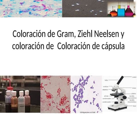 coloraciondegramznycapasula-231001115918-a3aa2ed4.ppt