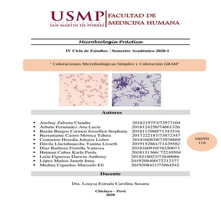 Coloraciones_Microbiologicas_Simples_y-63935371.pdf