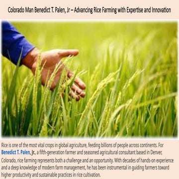 Colorado Man Benedict T. Palen, Jr – Advancing Rice Farming with ...