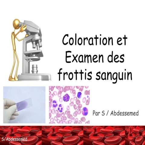 Coloration et examen des frottis sanguins