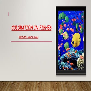 Coloration in fishes