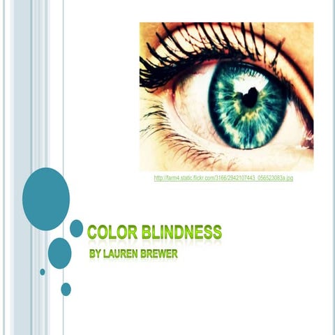 Color Blindness