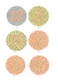 Dvorine Color Test Offered By Operture Com