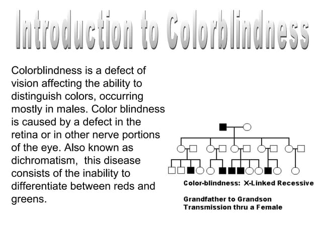 Ishihara.14.plate.instructions | PDF