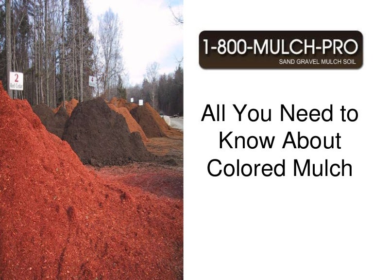 All You Need to Know About Colored Mulch