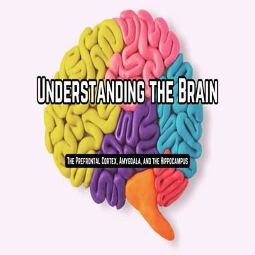 Colorful Bold Science Brain Presentation.pdf