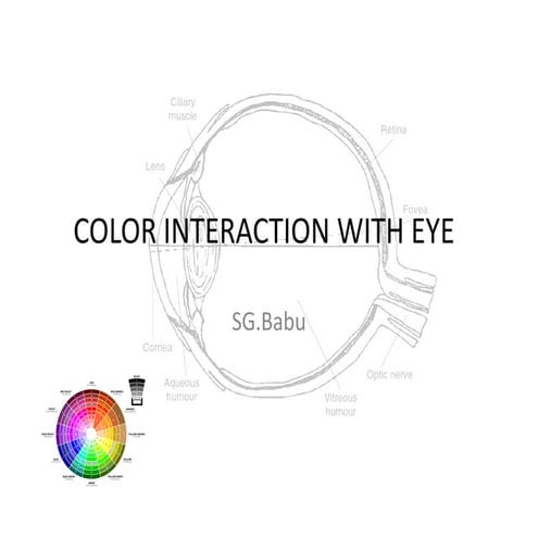 Color interaction with eye