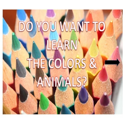 Colors & animals