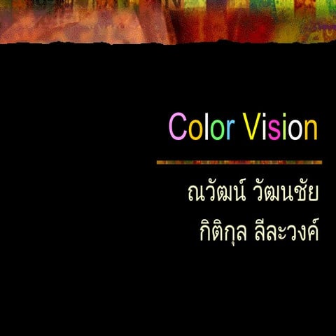 NW2005 Color vision