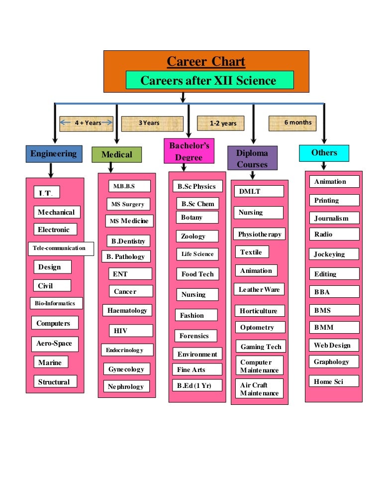 After 10th Courses Chart