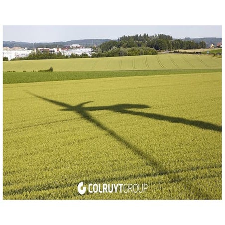 Colruyt: Intelligent Leak Detection for HFC Cooling Installations