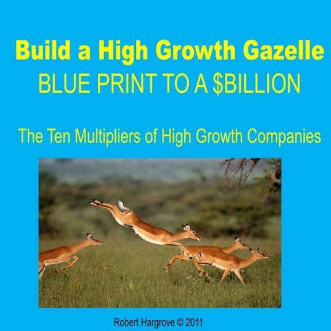 Building a High Growth Gazelle