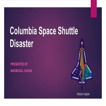 Investigation on Columbia space shuttle disaster