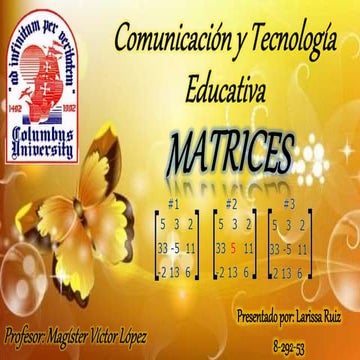 Presentacion Matrices | PPTX