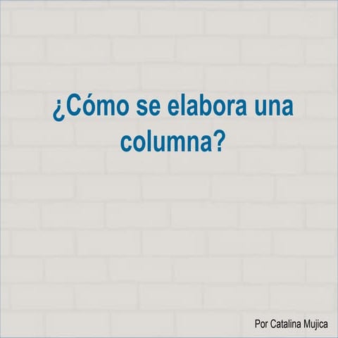 Columna de opinión 