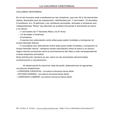 Columna vertebral.docx