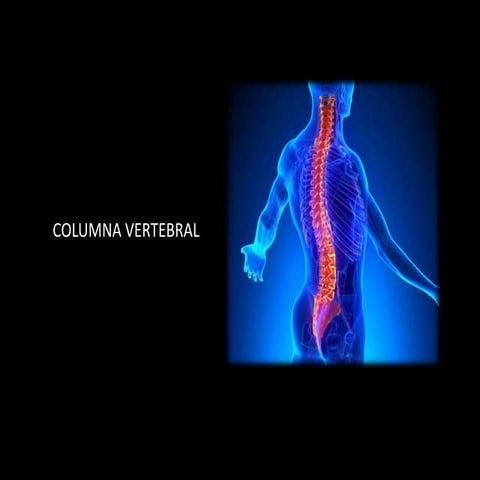 COLUMNA VERTEBRAL.pptx