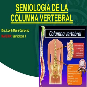 RESUMEN DE COLUMNA VERTEBRAL. NETTER ORTOPEDIA.pdf