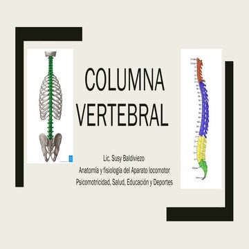 Anatomía de columna vertebral | PPTX