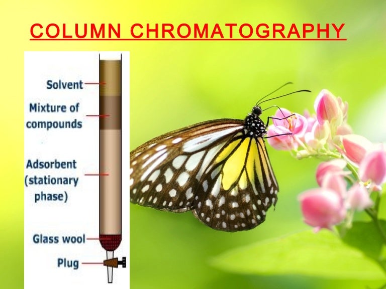 Column Chromatography ppt