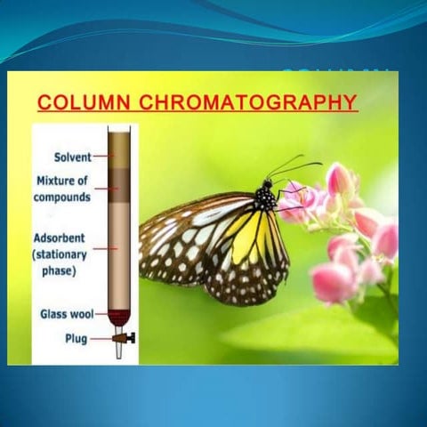 Column chromatography