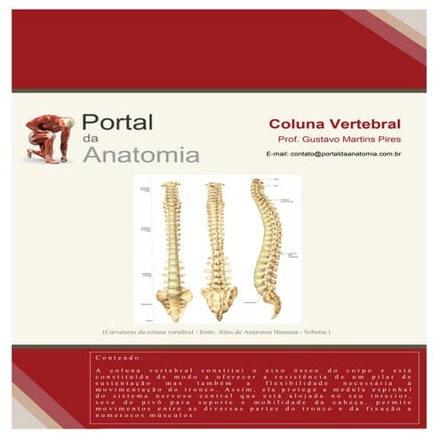 Anatomia radiológica da coluna vertebral | PDF