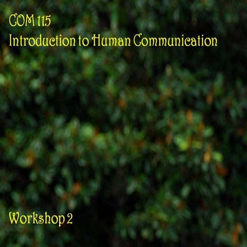 COM 115 Workshop 2 Slides