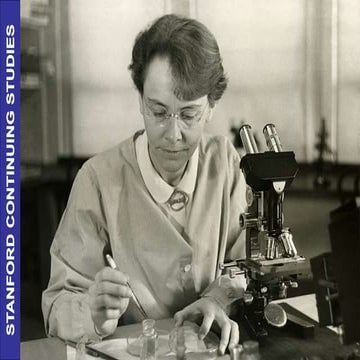 Non-Verbal Communication