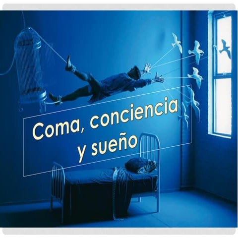 coma, funciones mentales superiores, deterioro de la consciencia