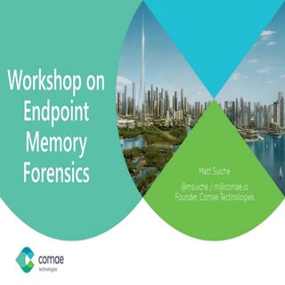 Workshop on Endpoint Memory Forensics