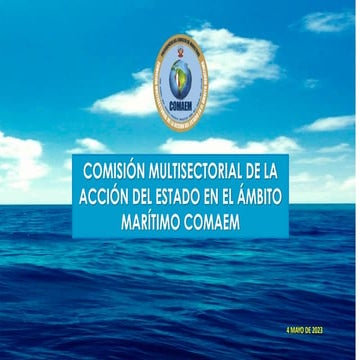 COMISION MULTISECTORIAL DE LA ACCION DEL ESTADO EN EL AMBITO MARITIMO | PDF