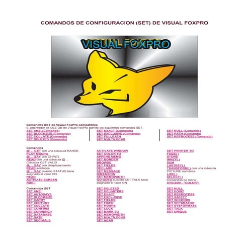 Comandos de configuracion vfp