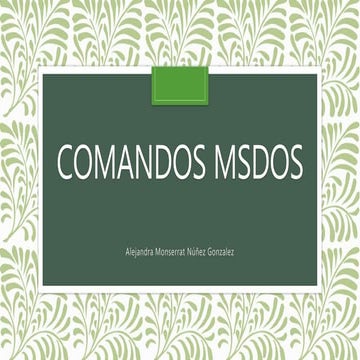 Comandos msdos
