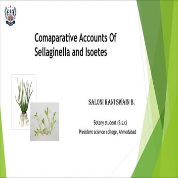 Comparative Accounts of Selaginella And Isoetes