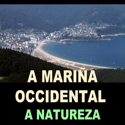Comarca A Mariña Occidental PPT