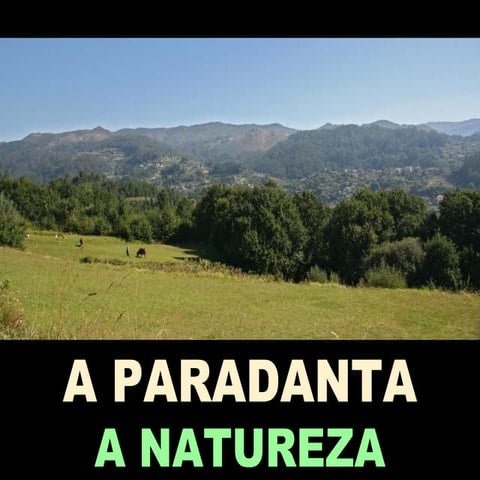 Comarca A Paradanta