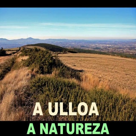 Comarca A Ulloa | PPS