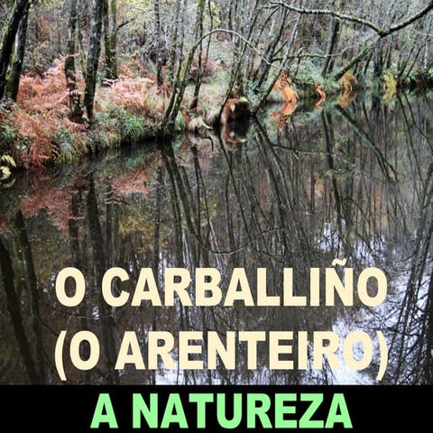 Comarca O Carballiño/O Arenteiro